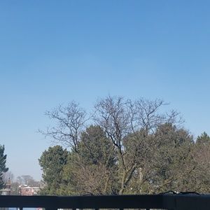 Meet your Posher, Laima